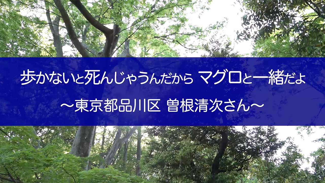 歩かないと死んじゃうんだから マグロと一緒だよ ～東京都品川区 曽根清次さん～